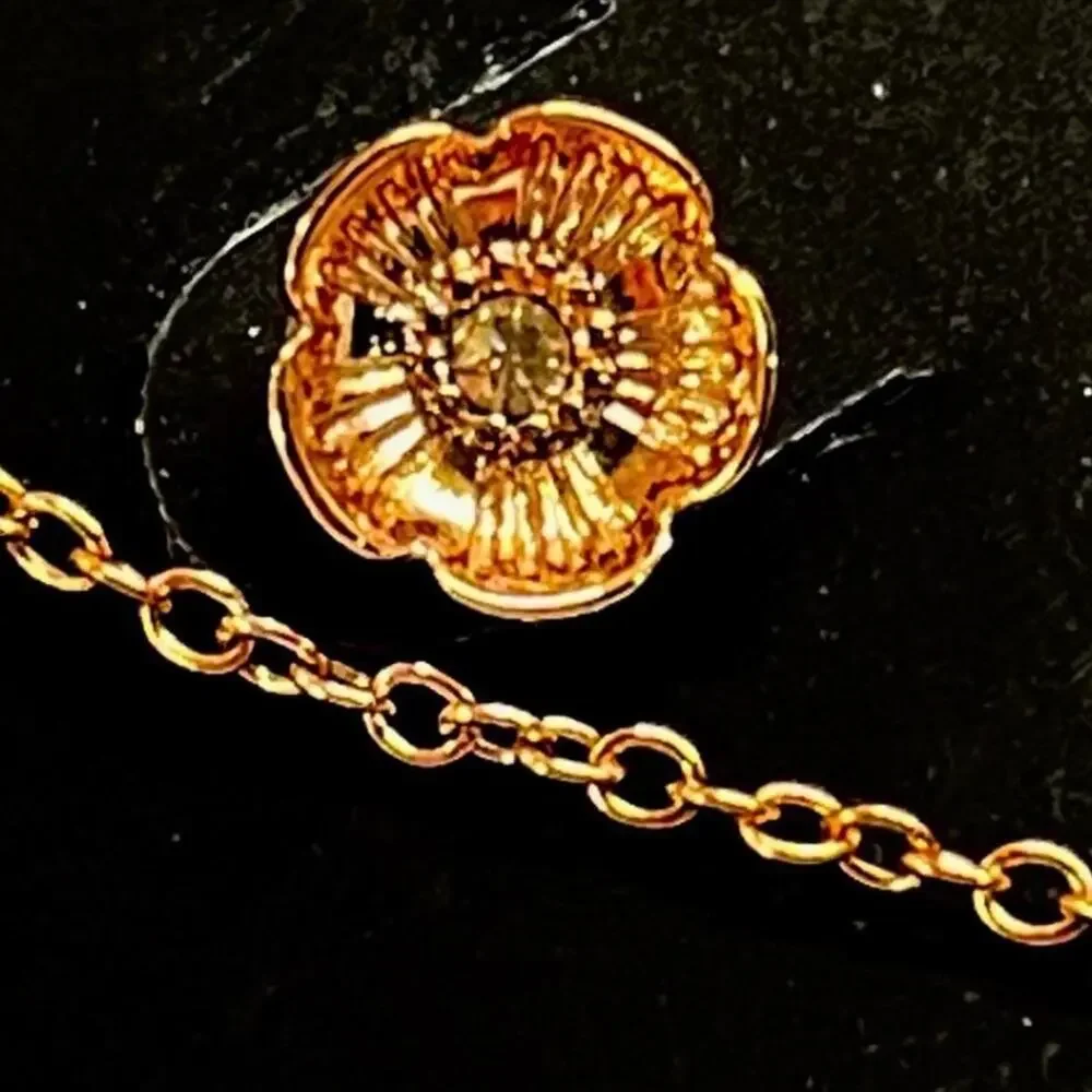 Coach necklace earrings